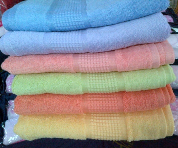 Terry Palmer Polos Enchanted