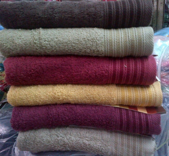 Terry Palmer Polos Eternal